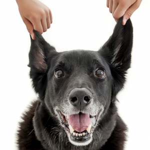 our design and print team