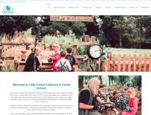 Little forest childcare logo design and website design