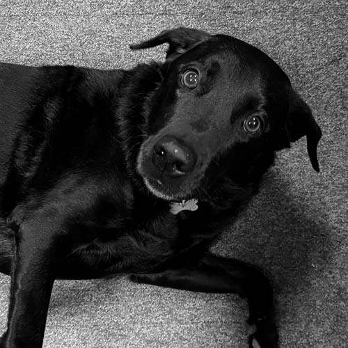 Maddy