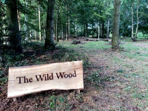 Markshall Estate swooden etched sign