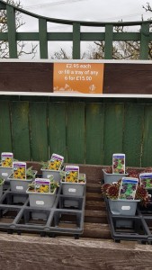 Markshall Estate plant centre signage