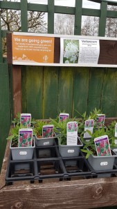 Markshall Estate plant centre signage