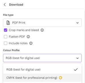 Printing from Canva choose PDF bleed crops and CMYK